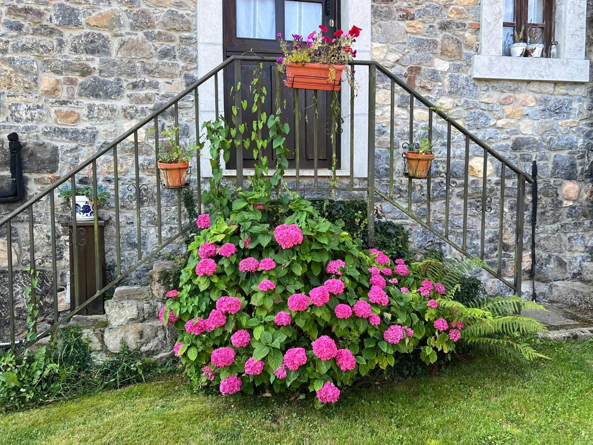 Casa Rural Casa Cerezal Кангас-де-Онис Экстерьер фото